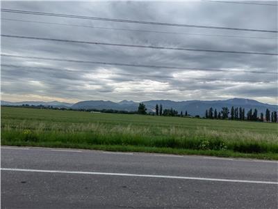 TEREN DE INCHIRIAT IN SUPRAFATA DE 2,8 HA IN ONESTI